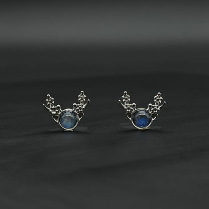 Earrings | Labradorite